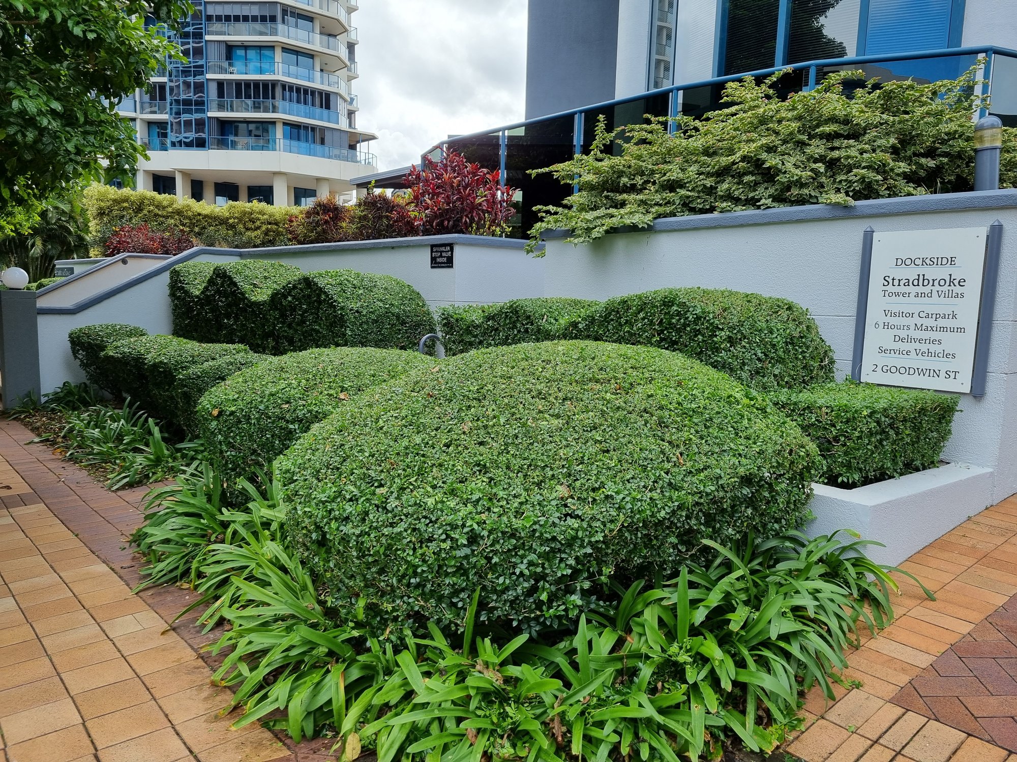 Stradbroke wave hedges