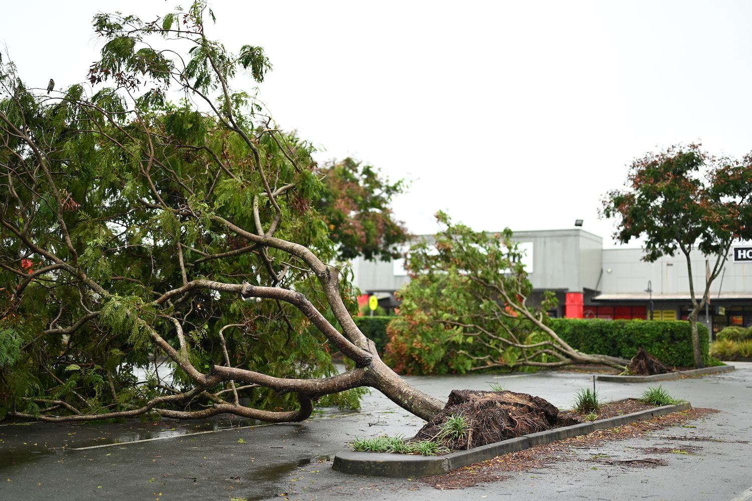  cyclone_clean_up_3 