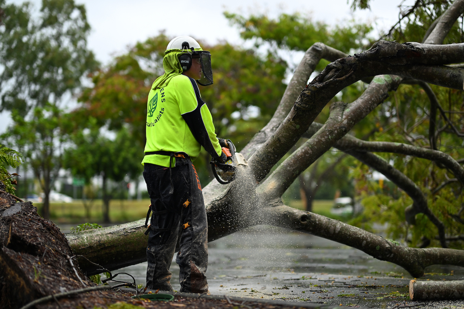  cyclone_clean_up_march_2025 